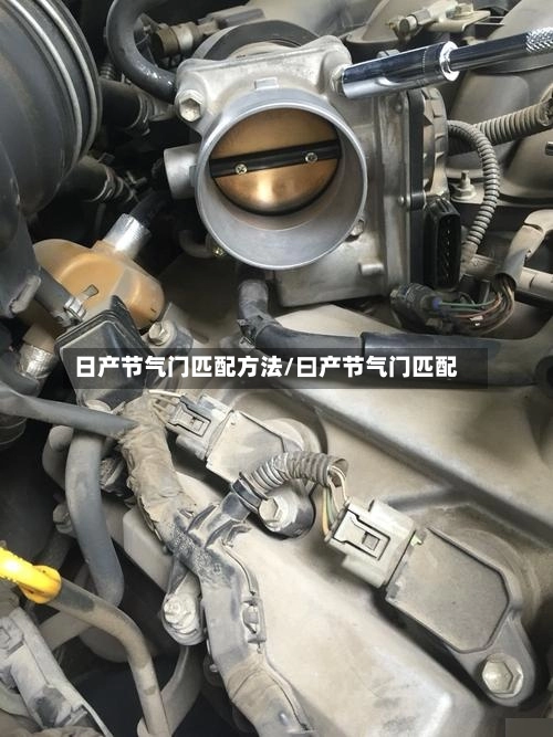 日产节气门匹配方法/曰产节气门匹配-第3张图片