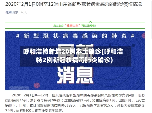 呼和浩特新增20例本土确诊(呼和浩特2例新冠状病毒肺炎确诊)-第3张图片