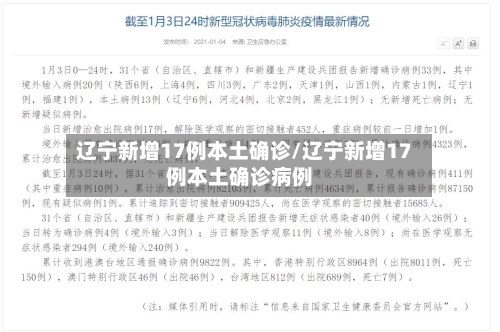 辽宁新增17例本土确诊/辽宁新增17例本土确诊病例