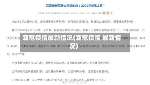 新冠疫情最新情况(新冠疫情 最新情况)-第2张图片