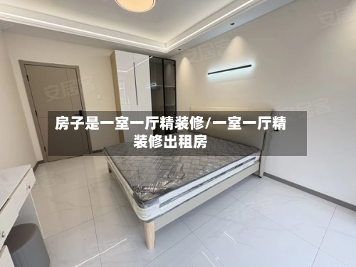房子是一室一厅精装修/一室一厅精装修出租房