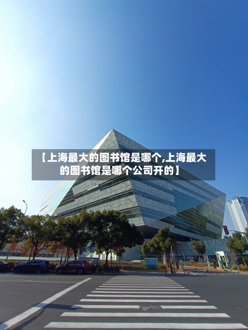 【上海最大的图书馆是哪个,上海最大的图书馆是哪个公司开的】-第3张图片