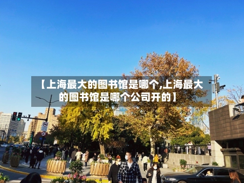【上海最大的图书馆是哪个,上海最大的图书馆是哪个公司开的】-第2张图片