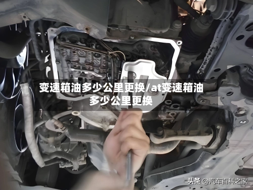 变速箱油多少公里更换/at变速箱油多少公里更换