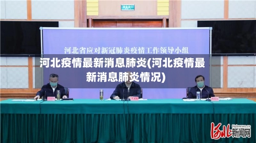 河北疫情最新消息肺炎(河北疫情最新消息肺炎情况)-第3张图片