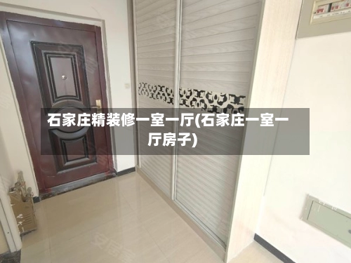 石家庄精装修一室一厅(石家庄一室一厅房子)