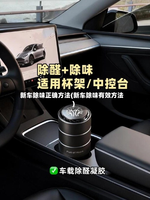 新车除味正确方法(新车除味有效方法)