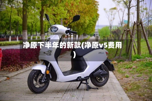 净原下半年的新款(净原v5费用)-第2张图片