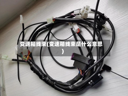 变速箱线束(变速箱线束是什么意思)