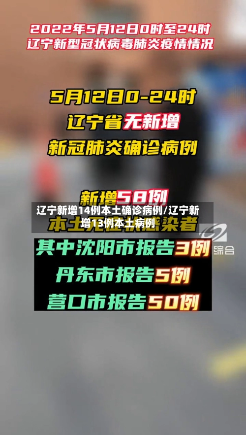 辽宁新增14例本土确诊病例/辽宁新增13例本土病例