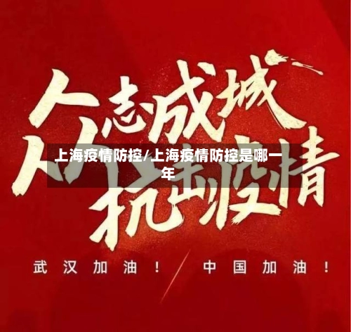 上海疫情防控/上海疫情防控是哪一年