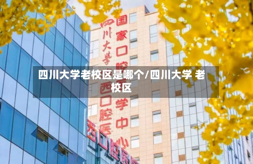 四川大学老校区是哪个/四川大学 老校区-第2张图片