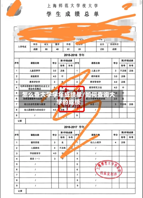 怎么查大学学年成绩单/如何查询大学的成绩-第3张图片