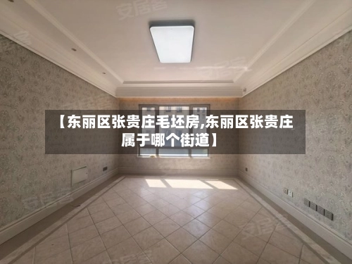 【东丽区张贵庄毛坯房,东丽区张贵庄属于哪个街道】