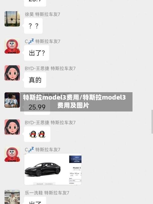 特斯拉model3费用/特斯拉model3费用及图片