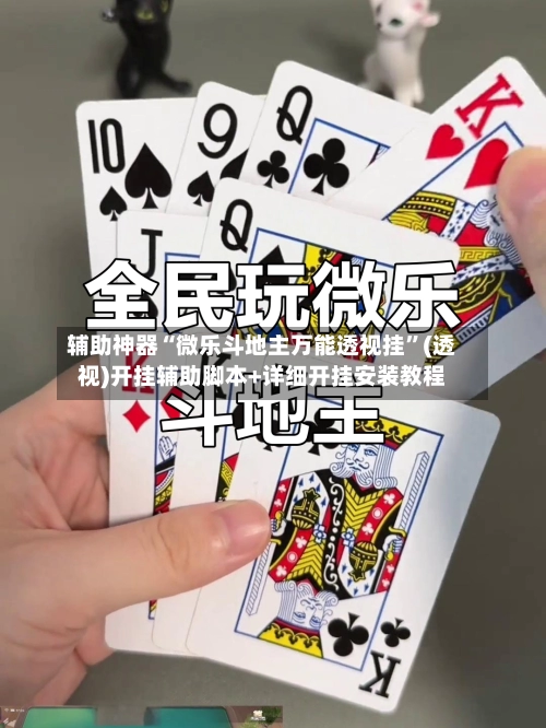 辅助神器“微乐斗地主万能透视挂”(透视)开挂辅助脚本+详细开挂安装教程-第2张图片