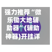 强力推荐“微乐锄大地辅助器”(辅助神器)开挂详细教程-第2张图片