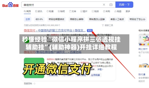 秒懂经验“微信小程序拼三张透视挂辅助挂	”(辅助神器)开挂详细教程-第2张图片