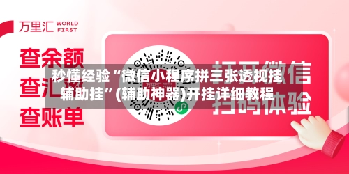 秒懂经验“微信小程序拼三张透视挂辅助挂”(辅助神器)开挂详细教程-第3张图片