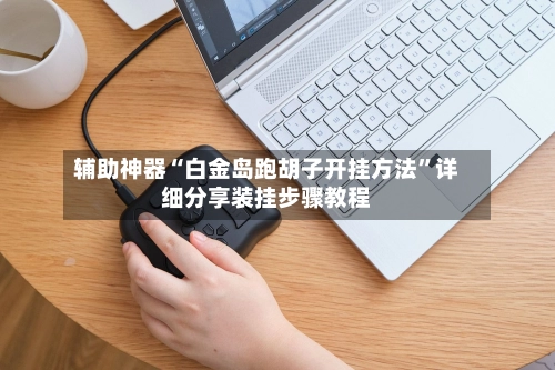 辅助神器“白金岛跑胡子开挂方法”详细分享装挂步骤教程-第3张图片
