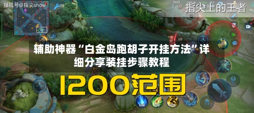 辅助神器“白金岛跑胡子开挂方法	”详细分享装挂步骤教程-第2张图片