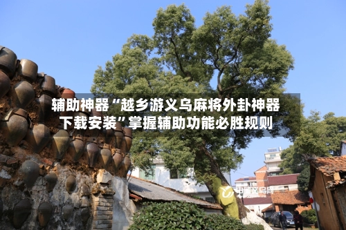 辅助神器“越乡游义乌麻将外卦神器下载安装	”掌握辅助功能必胜规则-第2张图片