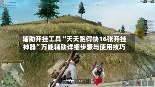 辅助开挂工具“天天跑得快16张开挂神器	”万能辅助详细步骤与使用技巧-第3张图片