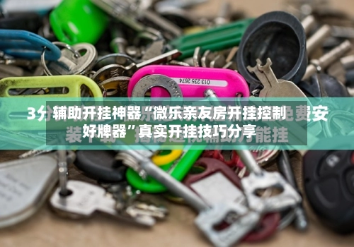 辅助开挂神器“微乐亲友房开挂控制好牌器”真实开挂技巧分享-第3张图片