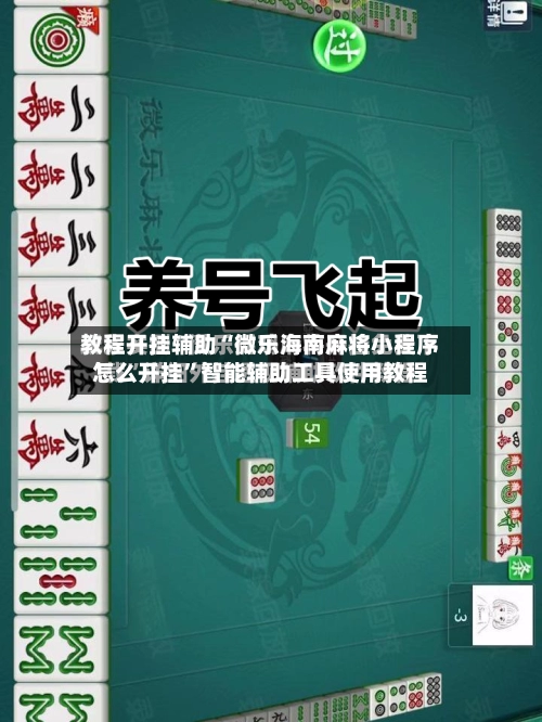 教程开挂辅助“微乐海南麻将小程序怎么开挂”智能辅助工具使用教程-第2张图片