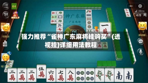 强力推荐“雀神广东麻将挂购买”(透视挂)详细用法教程-第2张图片