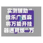 实测辅助“微乐广西麻将万能开挂器通用版”万能辅助详细步骤与使用技巧-第3张图片