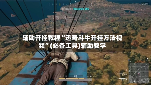 辅助开挂教程“迅奇斗牛开挂方法视频”(必备工具)辅助教学-第2张图片