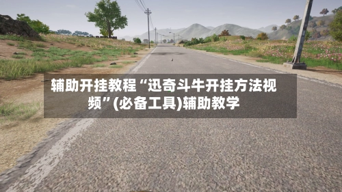 辅助开挂教程“迅奇斗牛开挂方法视频”(必备工具)辅助教学-第3张图片