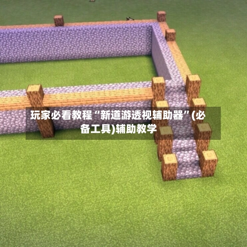 玩家必看教程“新道游透视辅助器	”(必备工具)辅助教学-第3张图片