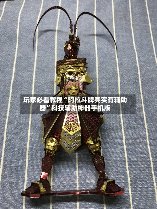 玩家必看教程“阿拉斗牌其实有辅助器”科技辅助神器手机版-第3张图片