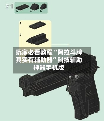 玩家必看教程“阿拉斗牌其实有辅助器”科技辅助神器手机版-第2张图片