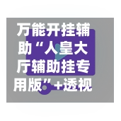 万能开挂辅助“人皇大厅辅助挂专用版”+透视挂	”开挂辅助软件教程-第2张图片