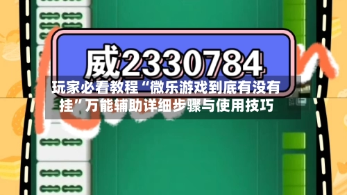 玩家必看教程“微乐游戏到底有没有挂	”万能辅助详细步骤与使用技巧-第2张图片