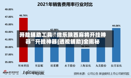 开挂辅助工具“微乐陕西麻将开挂神器”开挂神器{透视辅助}全揭秘-第2张图片