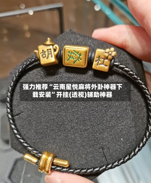 强力推荐“云南星悦麻将外卦神器下载安装”开挂(透视)辅助神器-第2张图片