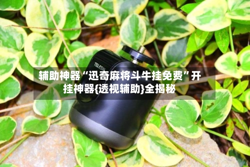 辅助神器“迅奇麻将斗牛挂免费”开挂神器{透视辅助}全揭秘-第3张图片