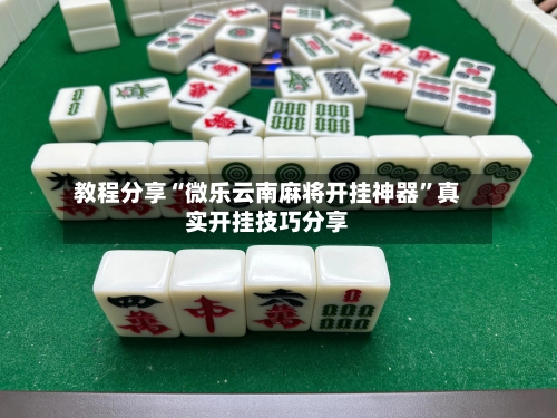 教程分享“微乐云南麻将开挂神器”真实开挂技巧分享-第2张图片