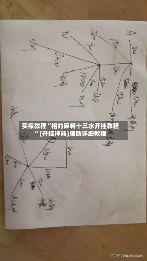 实操教程“相约麻将十三水开挂教程”(开挂神器)辅助详细教程-第3张图片