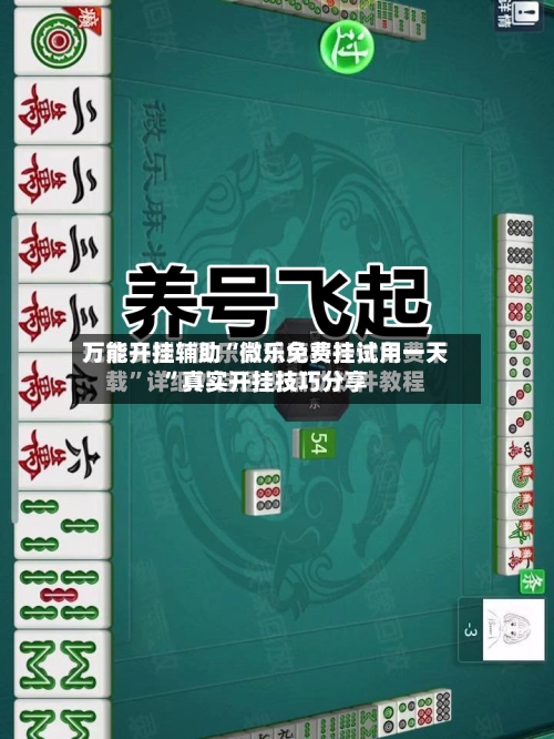 万能开挂辅助“微乐免费挂试用一天”真实开挂技巧分享-第3张图片