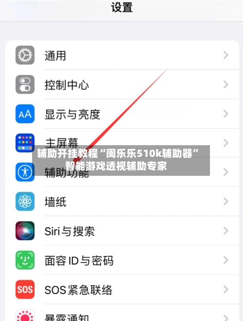 辅助开挂教程“闽乐乐510k辅助器”智能游戏透视辅助专家-第3张图片