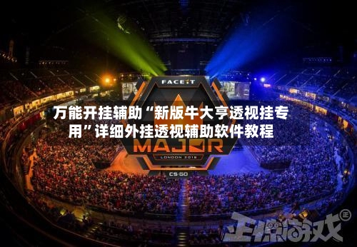 万能开挂辅助“新版牛大亨透视挂专用	”详细外挂透视辅助软件教程-第2张图片