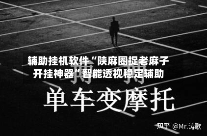 辅助挂机软件“陕麻圈捉老麻子开挂神器	”智能透视稳定辅助-第2张图片