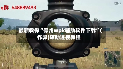最新教你“德州wpk辅助软件下载	”(作弊)辅助透视教程-第2张图片
