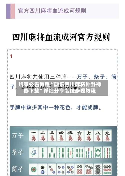 玩家必看教程“微乐四川麻将外卦神器下载	”详细分享装挂步骤教程-第3张图片