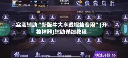 实测辅助“新版牛大亨透视挂专用”(开挂神器)辅助详细教程-第2张图片